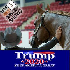 Profile Picture of Ronda Huffman (@rhkpainthorses) on Tiktok