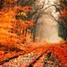 Profile Picture of Morgan_24 (@julianne0) on Pinterest