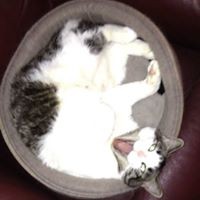Profile Picture of Sharon Connelly (@sharon-connelly-10) on Quora