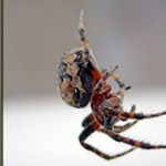 Profile Picture of mckenna hayes (@hayes2878cz) on Instagram