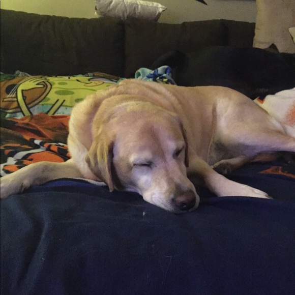 Profile Picture of Aidan Brozena (@aidanbrozena) on Poshmark