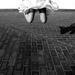 Profile Picture of Laura Draper Alexander (@ladydraper) on Pinterest