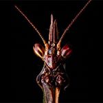 Profile Picture of Daniel Fiorindi (@daniel_fiorindi) on Instagram