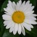 Profile Picture of Sara Yoder (@sara.yoder.1428) on Facebook