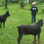 Profile Picture of Dave Dudley (@dave.dudley.35) on Instagram