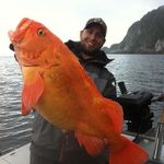 Profile Picture of Danny boy (@landon_danny_07) on Instagram