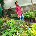 Garden Robert - Instagram Profile Picture of Garden Robert (@gawatgaru) on Instagram