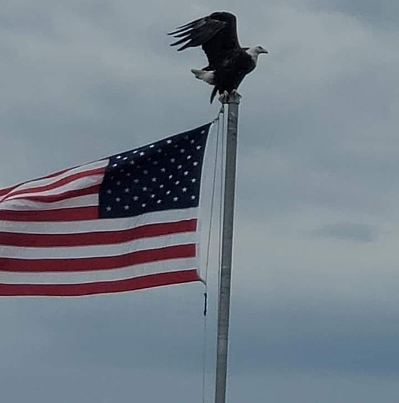 Profile Picture of Philip Gordon (@gordy99) on Poshmark