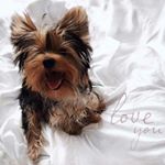 Profile Picture of _ralph_black_22 (@_ralph_black_22) on Instagram