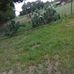 Profile Picture of Edna Bates (@edna.bates.1485) on Facebook