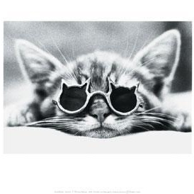 Profile Picture of Lis Cummings-gilbert (@trvllis) on Myspace