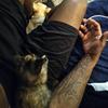 Profile Picture of Lawrence Mays (@@blacc3011) on Tiktok