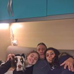 Profile Picture of Mario Gulla (@mario.gulla.35) on Instagram