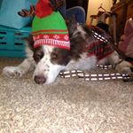 Profile Picture of Aaron Araujo (@aaron.araujo.5661) on Instagram