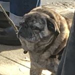 Profile Picture of Larry terry (@iamlarryterry) on Instagram