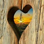 Profile Picture of Raymond Murphy (@raymond_murphy123) on Instagram