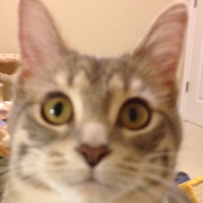 Profile Picture of Jacob Hoekstra (@Lagleth) on Twitter