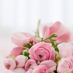 Profile Picture of Um Mohammed Dahlan (@ummohammeddahlan) on Instagram