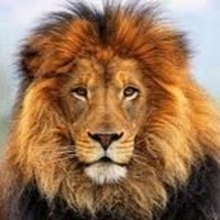 Profile Picture of Anthony Antonek (@anthony-antonek) on Quora