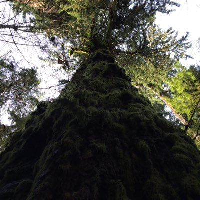 Profile Picture of Jesse Lamont (@Jesselamont92) on Twitter