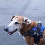 Mark Koslowski - Instagram Profile Picture of Mark Koslowski (@mark.koslowski) on Instagram