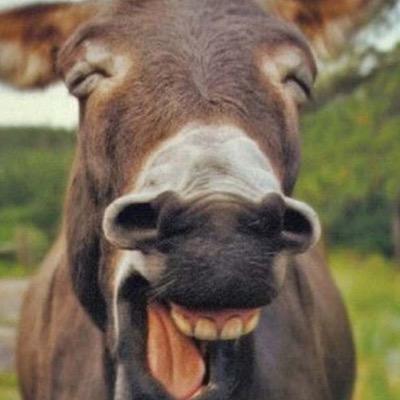 Profile Picture of Christopher Lanza (@Christo29633279) on Twitter