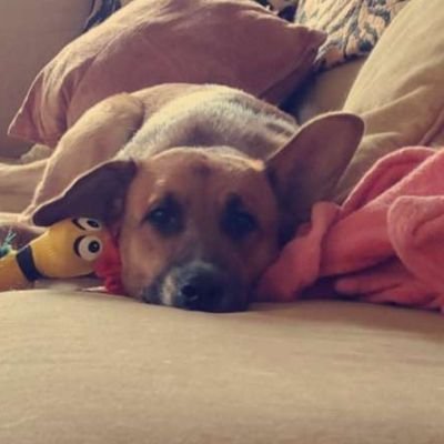 Profile Picture of Tom Nemec (@TomNemec) on Twitter