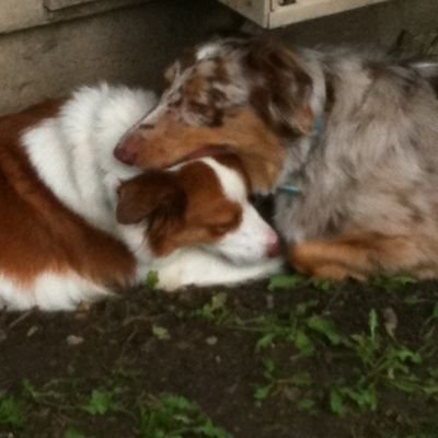 Profile Picture of Scott Ohman (@OhmanScott) on Twitter