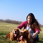 Marta, Maya e Sofia - Instagram Profile Picture of Marta, Maya e Sofia (@marta_maya_e_sofia_dogblog) on Instagram