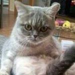 Profile Picture of Chris Runkel (@jimmi_die_katze) on Instagram