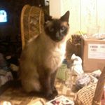 Profile Picture of Owen Ocallaghan (@owen.ocallaghan.1253) on Instagram