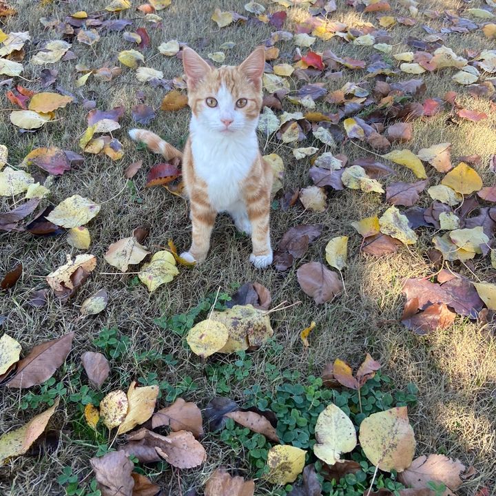 Profile Picture of Nancy Kremer (@nancy.kremer) on Tiktok