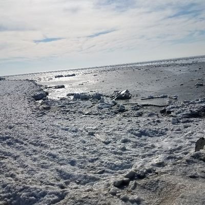 Profile Picture of Michael Vasser (@michaelvasser9) on Twitter