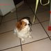 Profile Picture of Erika Mathis (@erika.mathis.904) on Facebook