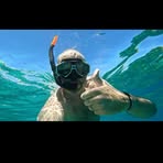 Profile Picture of Derek Innes (@derek.innes.5) on Facebook