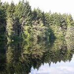 Profile Picture of James (@iamspiker) on Instagram