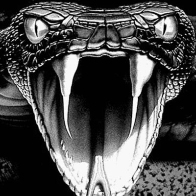 Profile Picture of Kyle Lehman (@LemonJayR) on Twitter