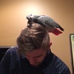 Profile Picture of Michael Spell (@language_boi_98) on Instagram