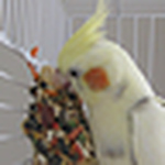 Profile Picture of Elizabeth_beukes (@elizabeth_beukes) on Flickr