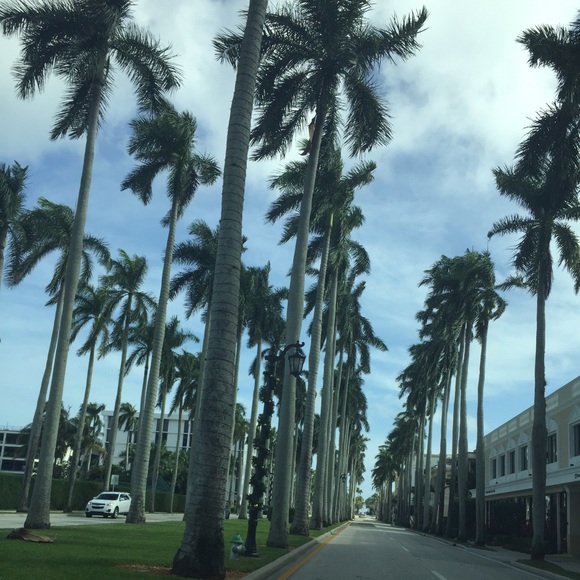 Profile Picture of Joe Schwamberger (@joeryan24) on Poshmark