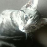 Profile Picture of Eddie Shayne May (@eddieshaynemay) on Instagram