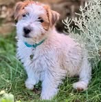 Profile Picture of Barbara Allegranti (@barbara.allegranti.9) on Facebook