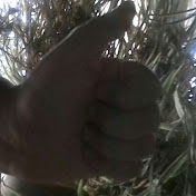 Profile Picture of Patrick Lamb (@patricklamb7139) on Youtube