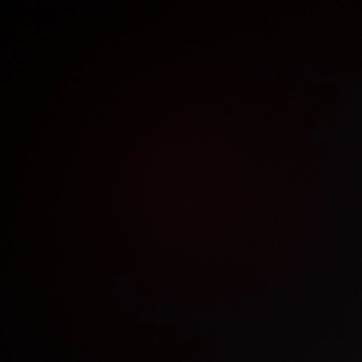 Profile Picture of Adam (@adamthenut) on Tiktok