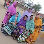 Profile Picture of tasneem hussain (@tasneemhusain49) on Instagram