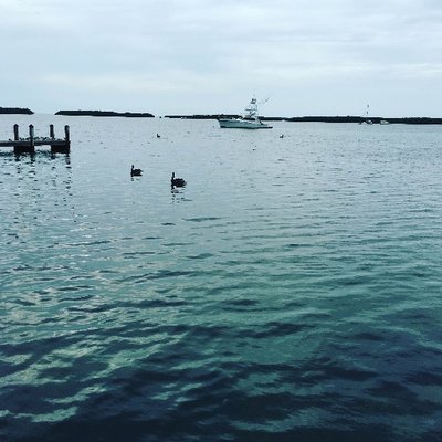 Profile Picture of Mark M (@markmcchesney) on Twitter