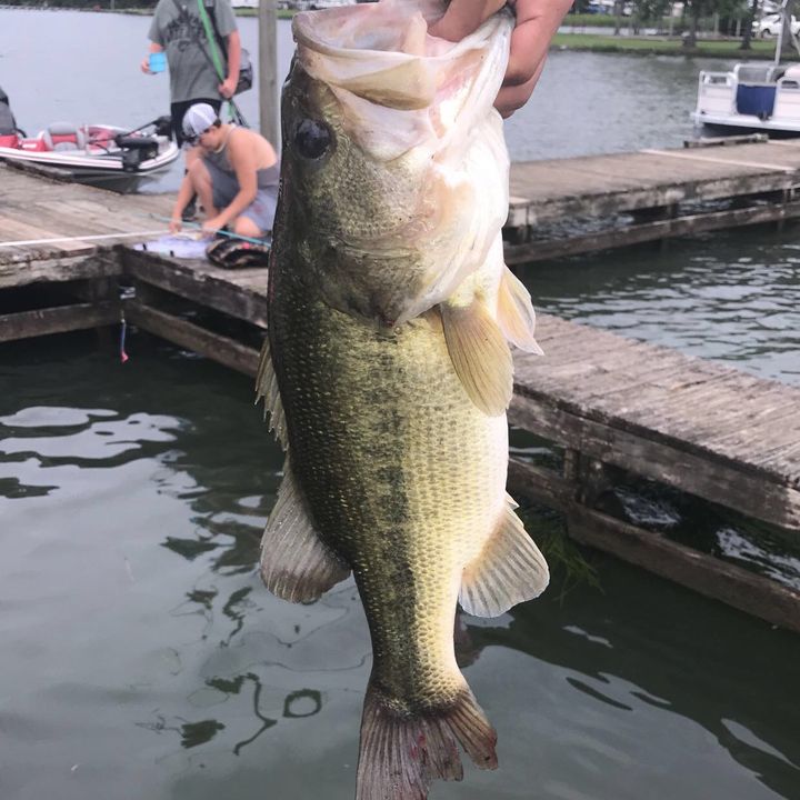 Profile Picture of Briar Mcintire (@briarmcintire) on Tiktok