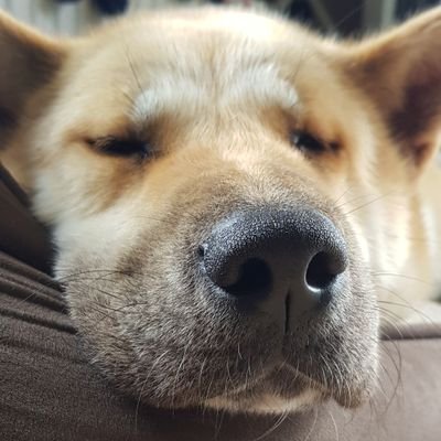 Profile Picture of Jesse Duffy (@JesseDu78419288) on Twitter