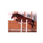 Emma - Instagram Profile Picture of Emma (@_cascaja_nancy_mary_) on Instagram