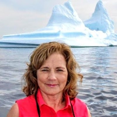Profile Picture of Lisa Lawrence (@lisamlawrence) on Twitter